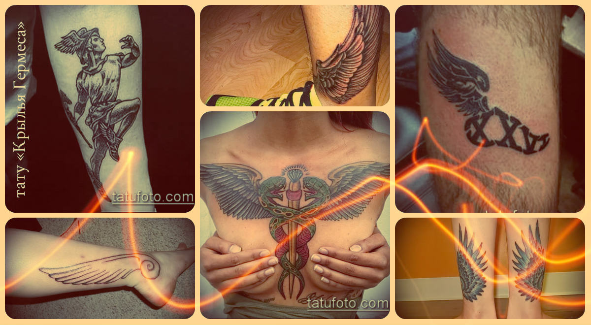 Значение тату Крылья Гермеса - фото примеры рисунков готовых татуировок