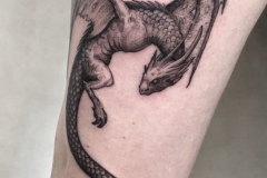 tatto-dragon-1