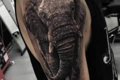 elephant-tattoo-14