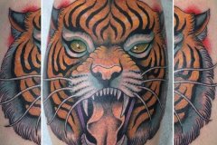 tiger-tattoo-112