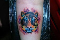tiger-tattoo-116