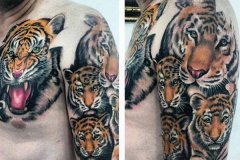 tiger-tattoo-125