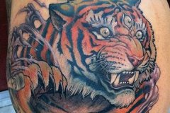 tiger-tattoo-133