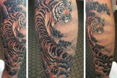 tiger-tattoo-136