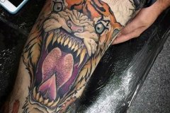 tiger-tattoo-137
