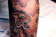tiger-tattoo-15