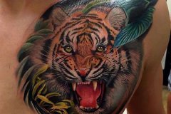 tiger-tattoo-153