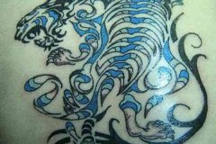 tiger-tattoo-154