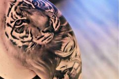 tiger-tattoo-17