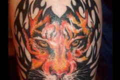 tiger-tattoo-2