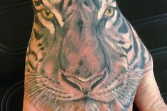 tiger-tattoo-20
