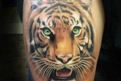 tiger-tattoo-27