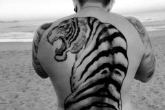 tiger-tattoo-29