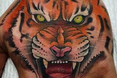 tiger-tattoo-34