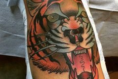 tiger-tattoo-35