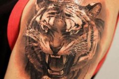 tiger-tattoo-4