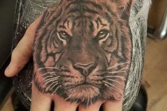 tiger-tattoo-49