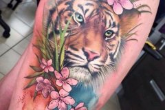 tiger-tattoo-54