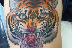 tiger-tattoo-70
