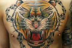 tiger-tattoo-72