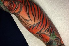 tiger-tattoo-75