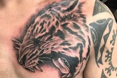 tiger-tattoo-78