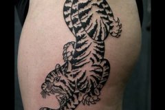 tiger-tattoo-8