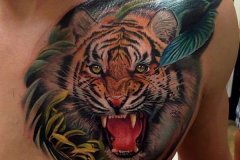 tiger-tattoo-80