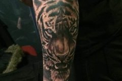 tiger-tattoo-83