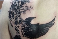 фото татуировки с вороном